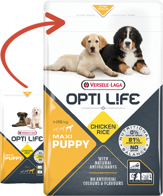 Opti Life puppy maxi 12.5 kg
