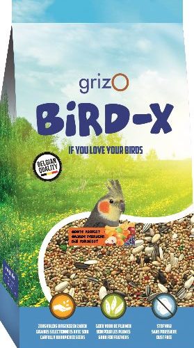 Bird X Grote parkietenmengeling met fruit 1 kg