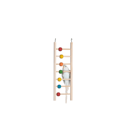 VOGELSPEELGOED HOUTEN LADDER MET KRALEN 7 TREDEN