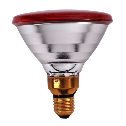 PHILIPS INFRAROOD LAMP PAR 100W ROOD