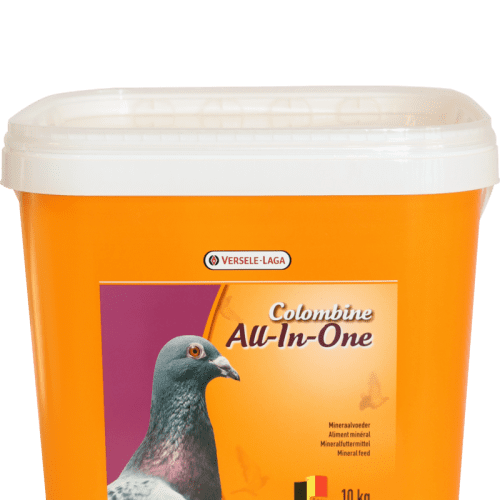 ALL-IN-ONE 10 kg