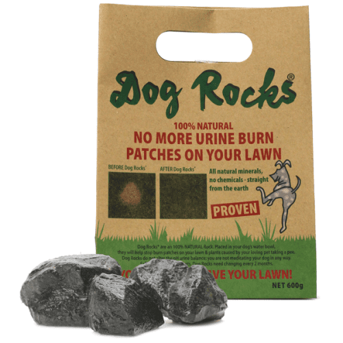 DOG ROCKS 600 GR