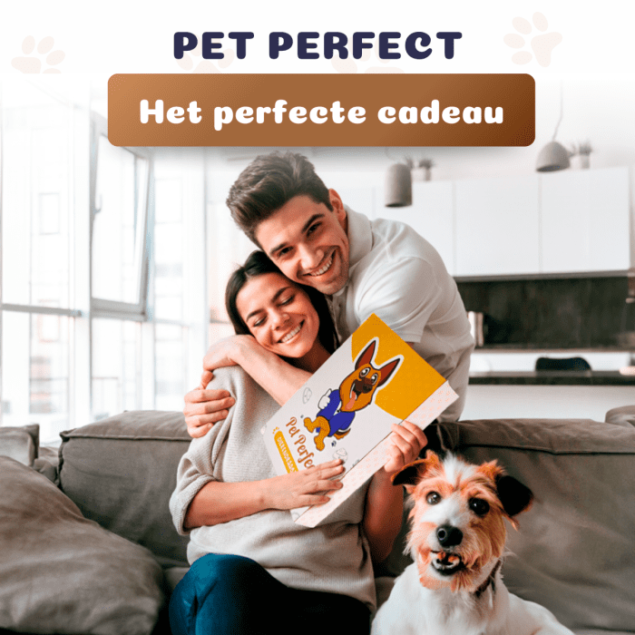Pet Perfect Pet carrier - Zwart