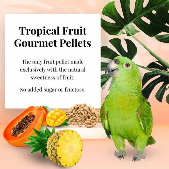 LF52650 TROPICAL FRUIT GOURMET PELLETS PAPEGAAI 567G