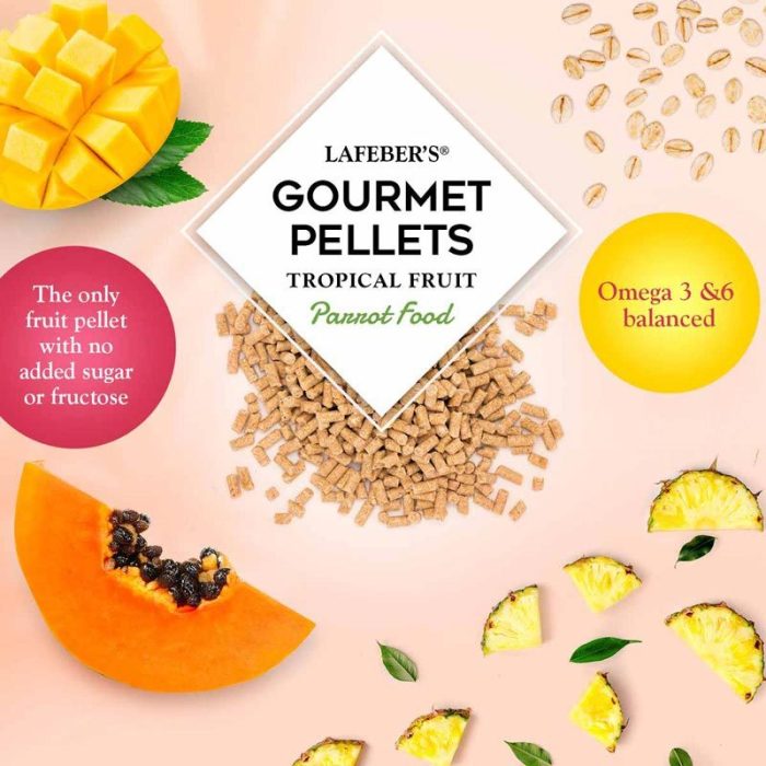 LF52650 TROPICAL FRUIT GOURMET PELLETS PAPEGAAI 567G