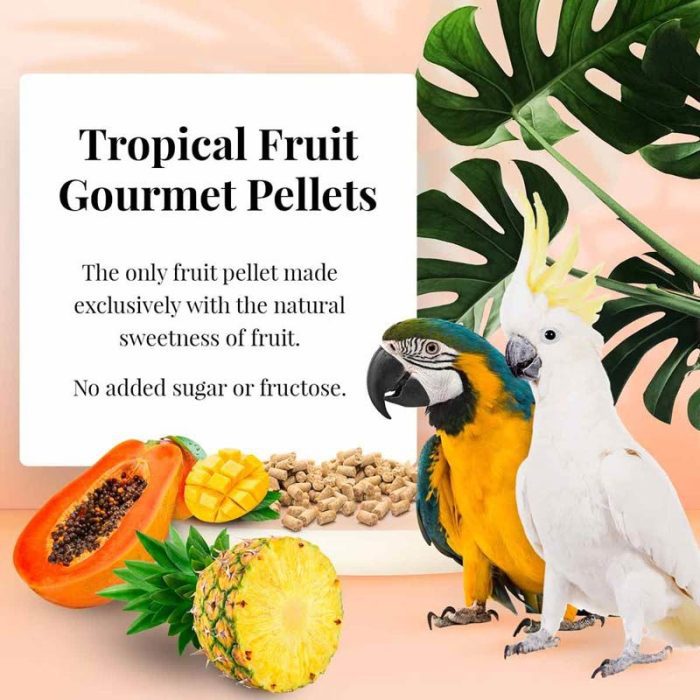 LF52660 TROPICAL FRUIT GOURMET PELLETS ARA 567G